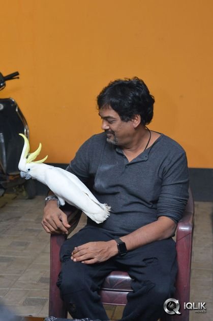 Puri-Jagannadh-Interview-About-ISM-Movie